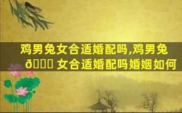 鸡男兔女合适婚配吗,鸡男兔 🐟 女合适婚配吗婚姻如何